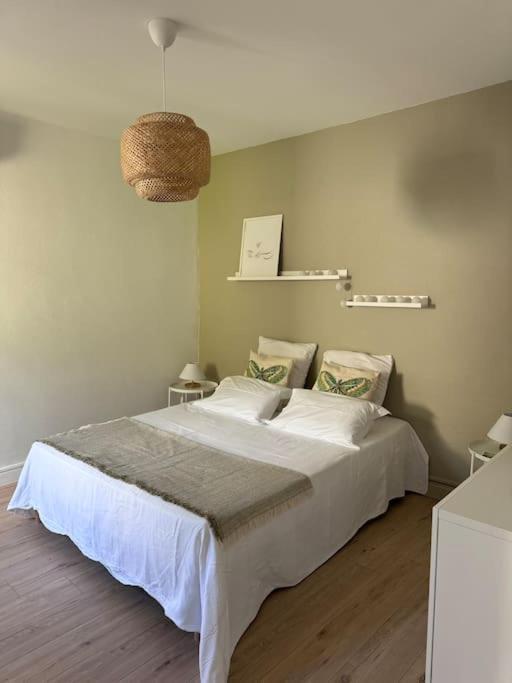 Le Marceau - Maison Climatisee Avec Jardin Carcassonne Dış mekan fotoğraf